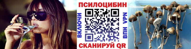 Галлюциногенные грибы мухоморы  Новоузенск 